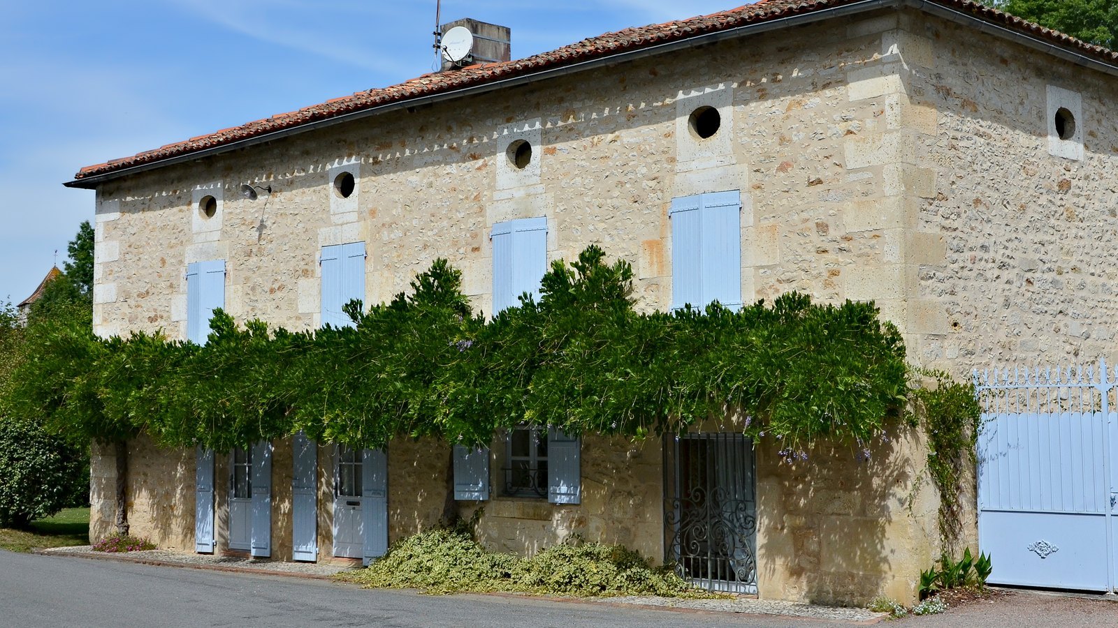 Maison en pierre aux volets bleu pâle, façade couverte de glycine