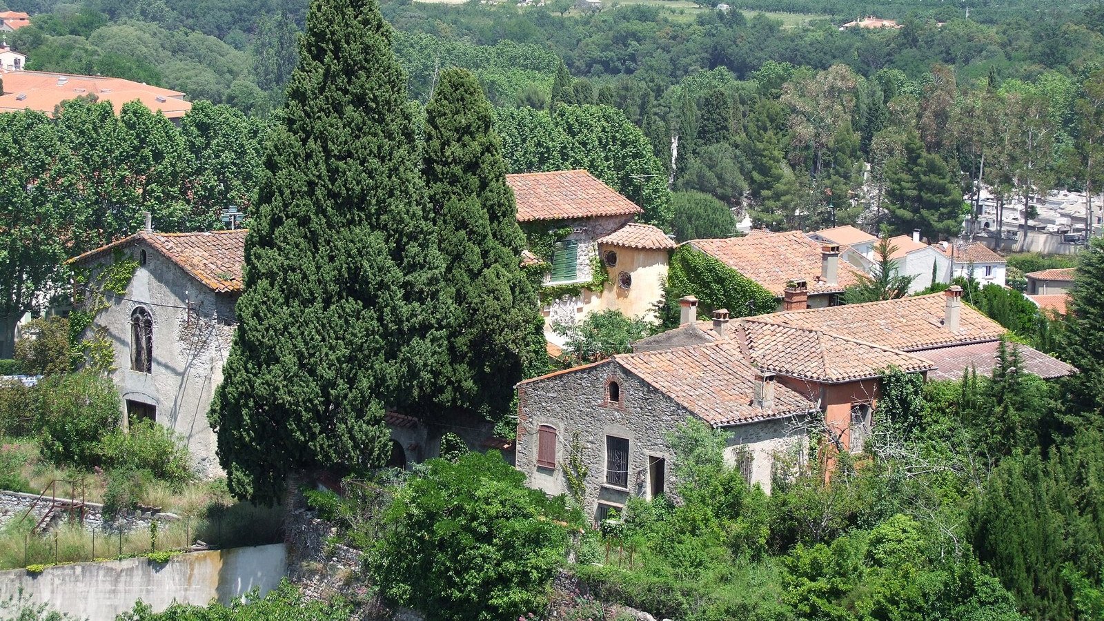 Old houses surrounded by greenery, seen from above