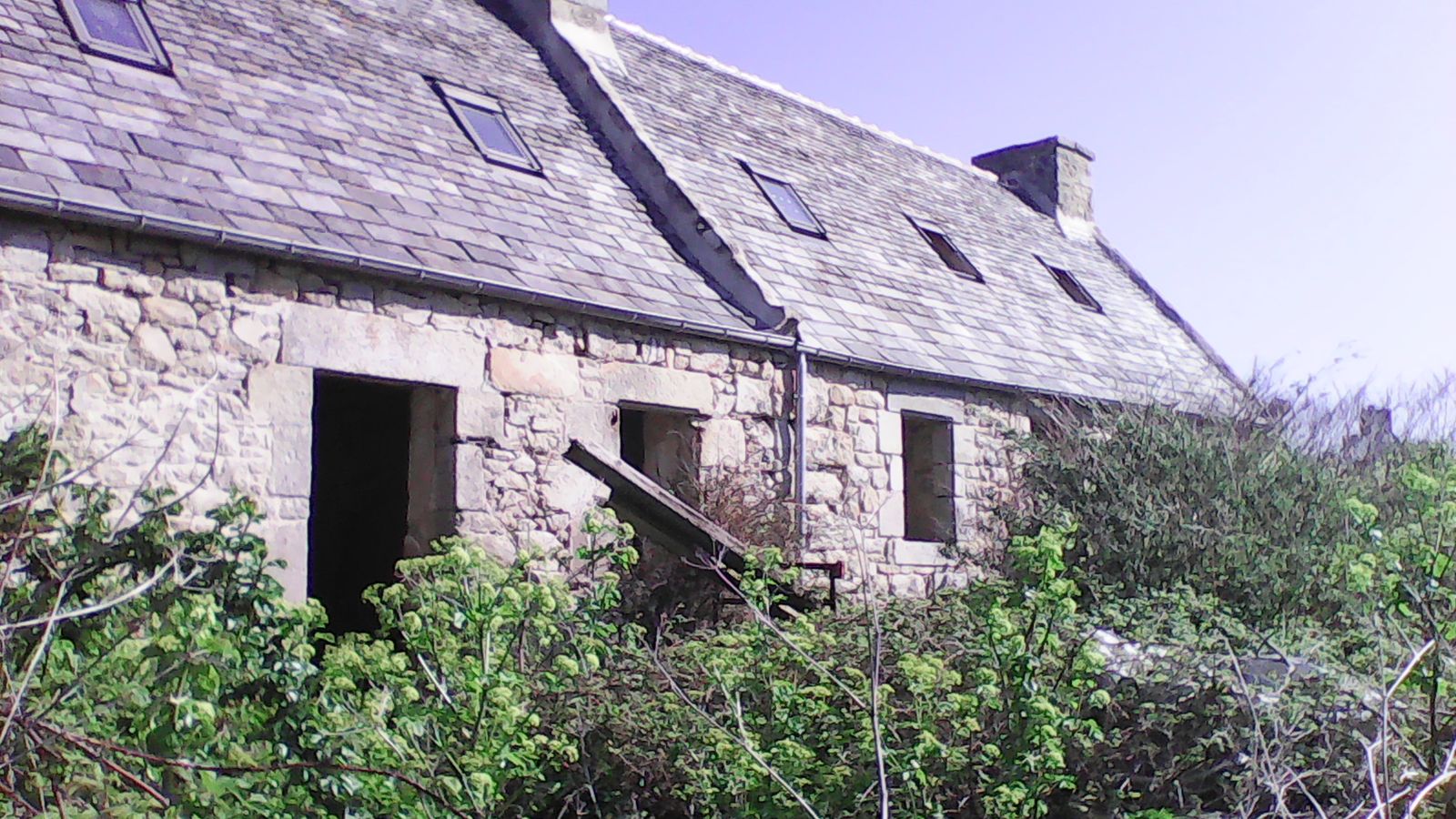 Maison en pierre envahie par la végétation