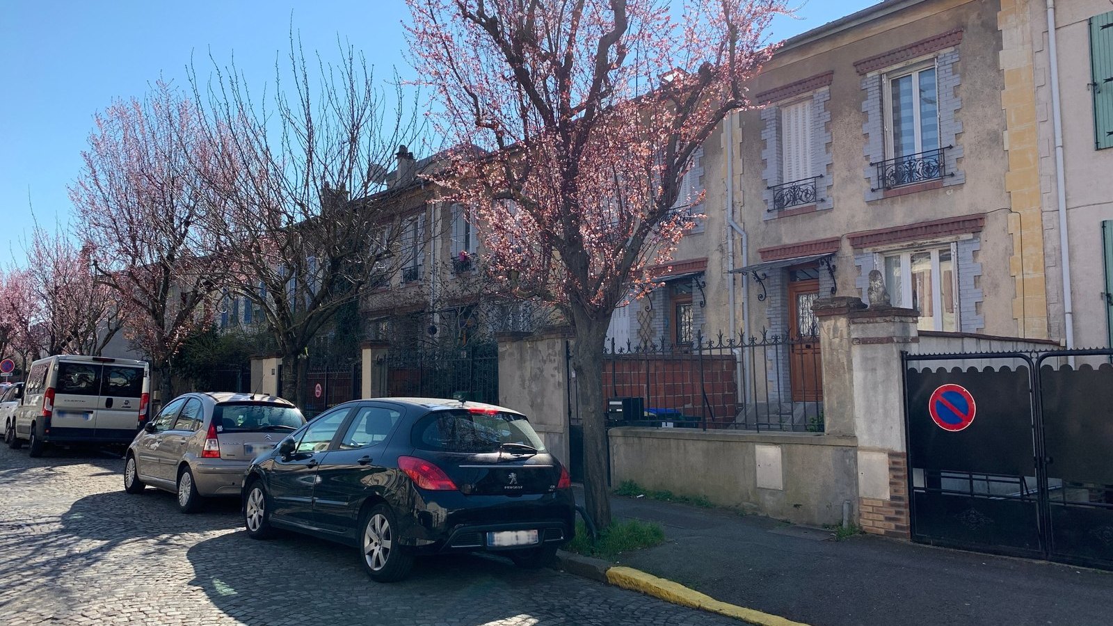 Maisons d'un lotissement ancien le long d'une rue pavée, arbres en fleurs