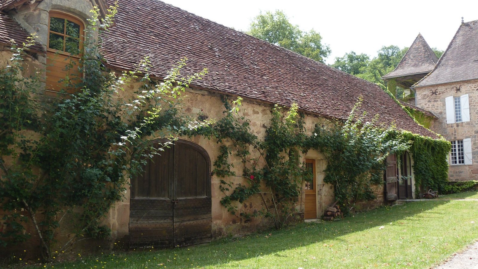 Longue maison ancienne en pierre couverte de vigne, devant une pelouse au soleil