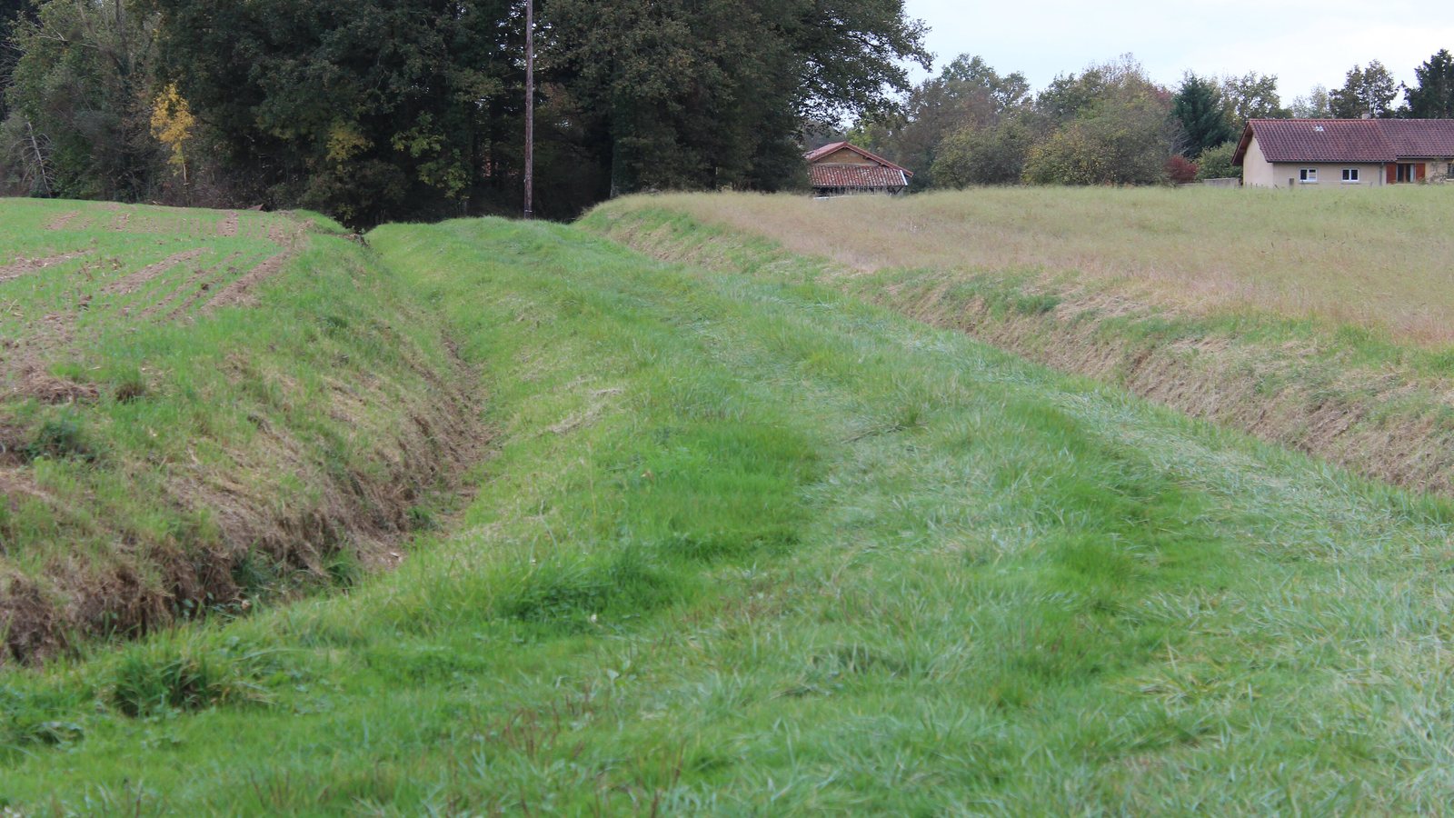 Chemin de terre enherbé entre deux champs, menant à des maisons au fond