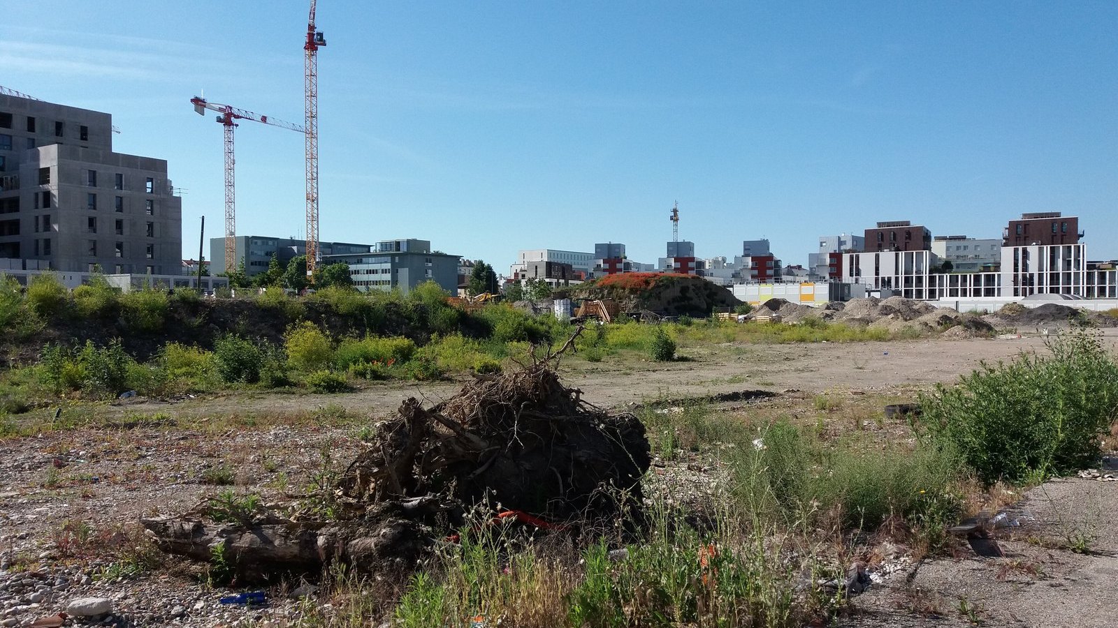 Vacant urban plot with new apartment buildings and cranes in the distance, under a blue sky