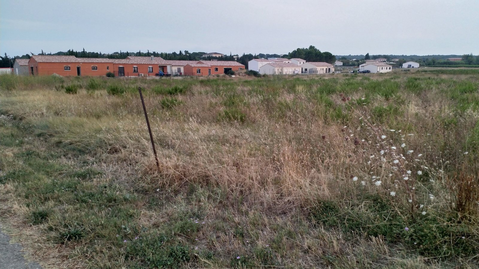 Fallow field facing a recent housing estate on the edge of a village