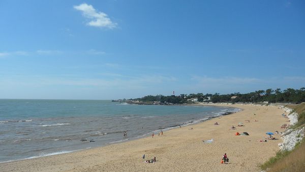 Le Platin sandy beach in Saint-Palais-sur-Mer, lined with pine trees